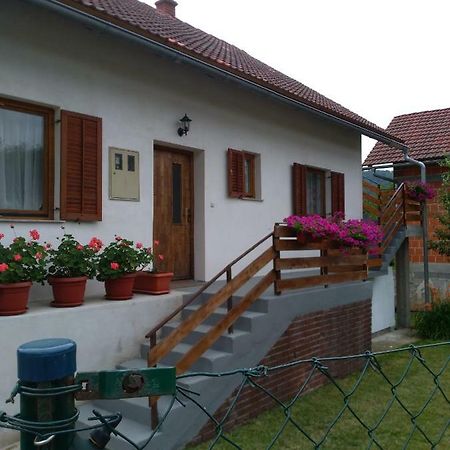 Apartman Nina Licko Petrovo Selo المظهر الخارجي الصورة